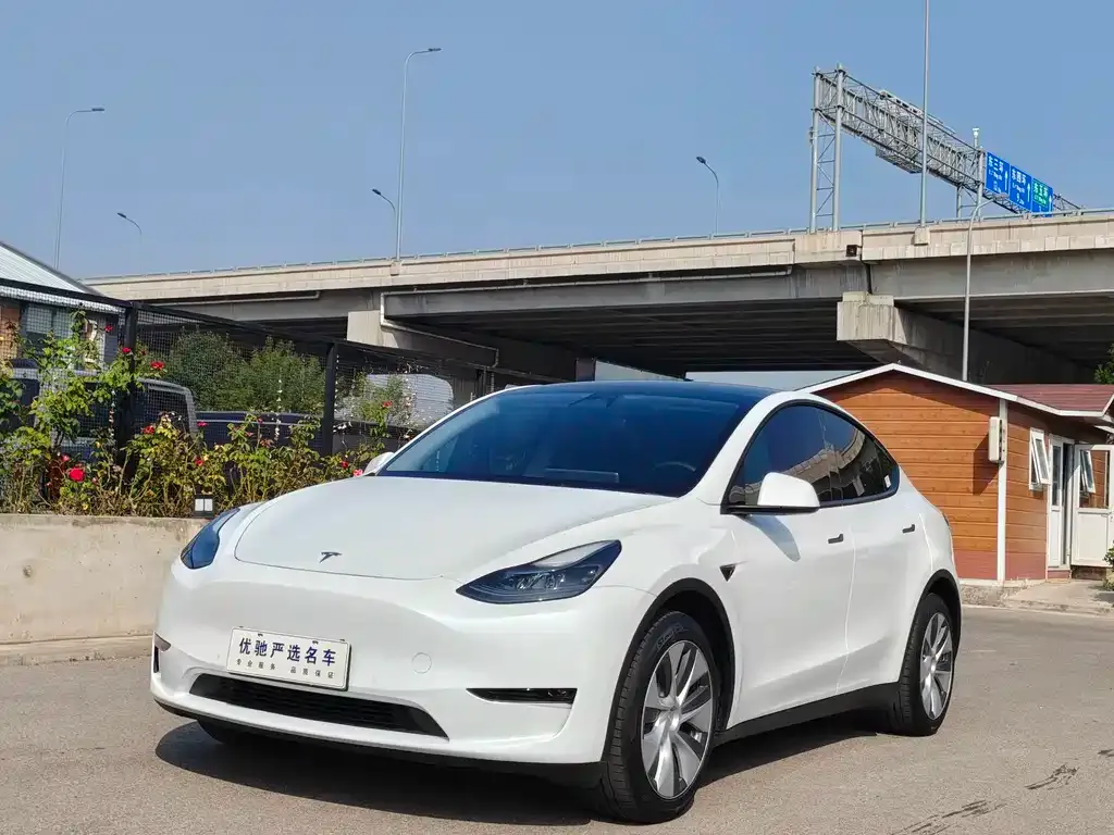 Tesla Model Y — фото 1