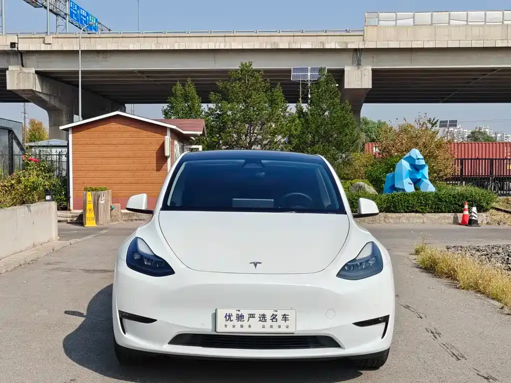 Tesla Model Y — фото 10