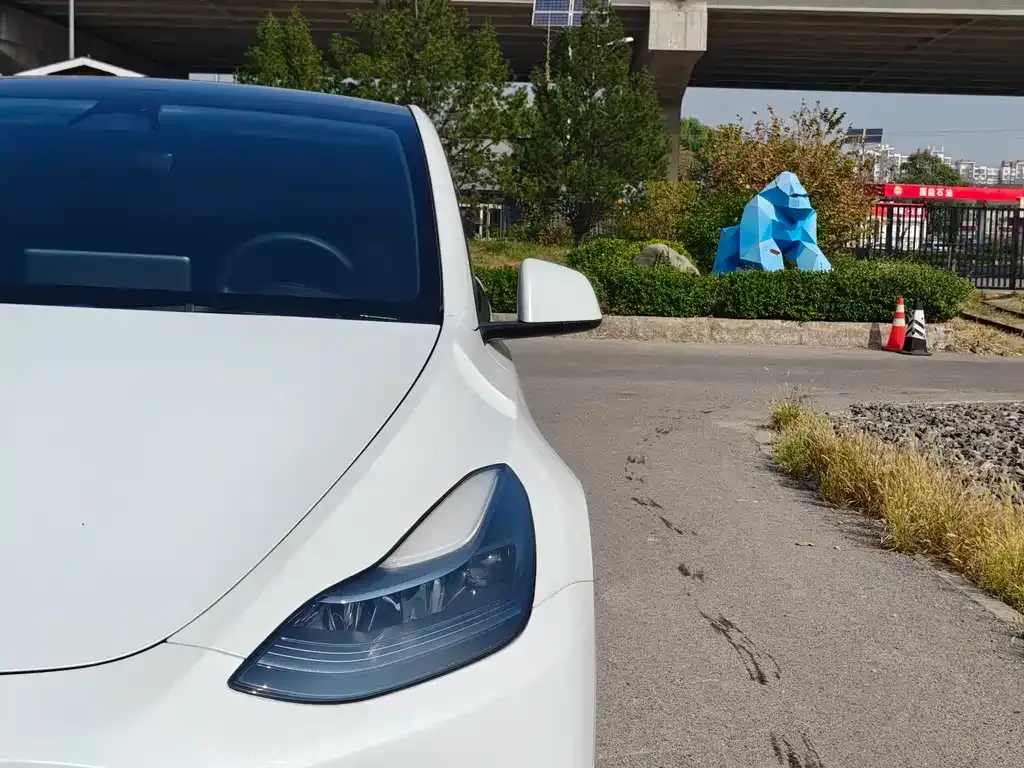 Tesla Model Y — фото 2