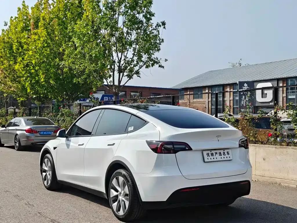 Tesla Model Y — фото 6