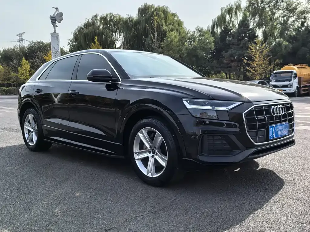 Audi Q8 — фото 9