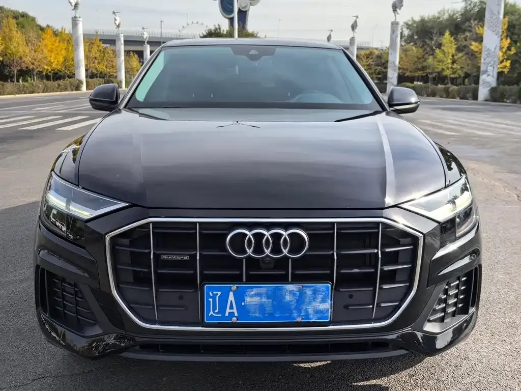 Audi Q8 — фото 10