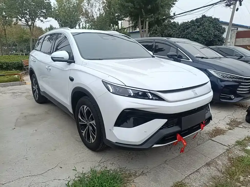 BYD Pro New Energy — фото 9
