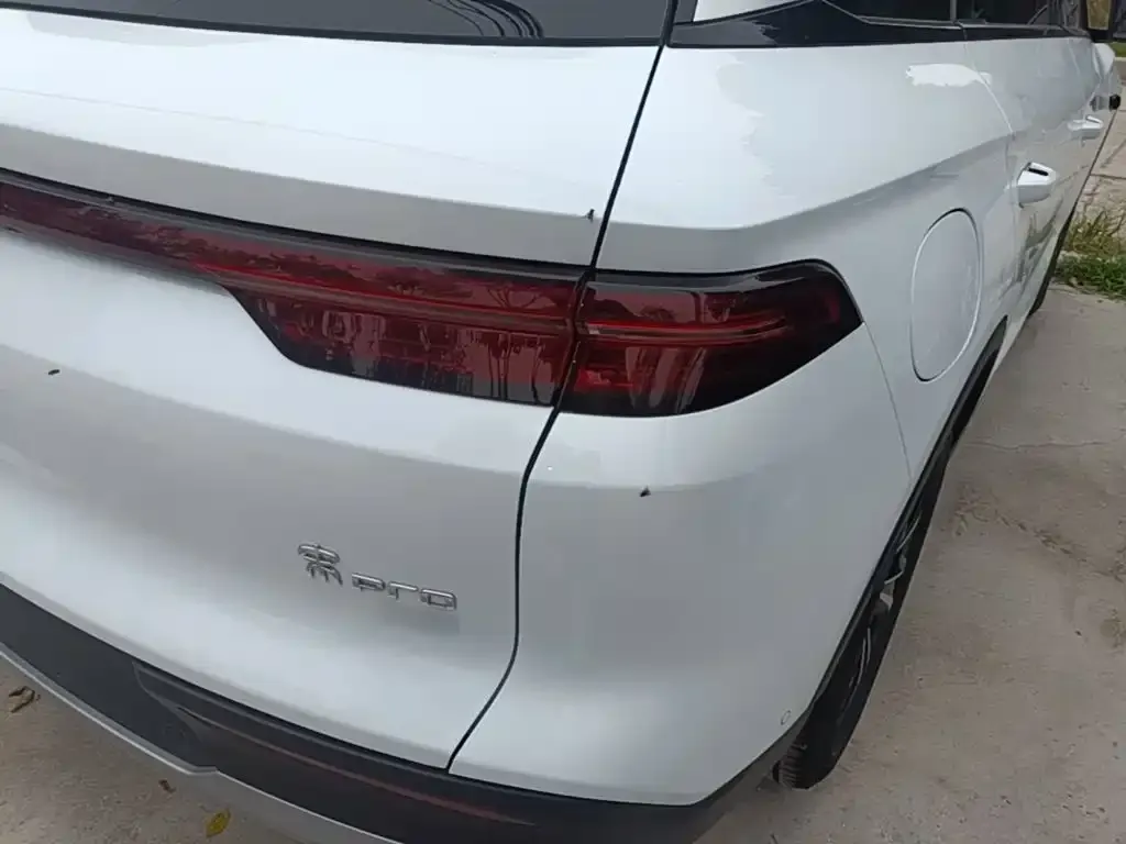 BYD Pro New Energy — фото 5