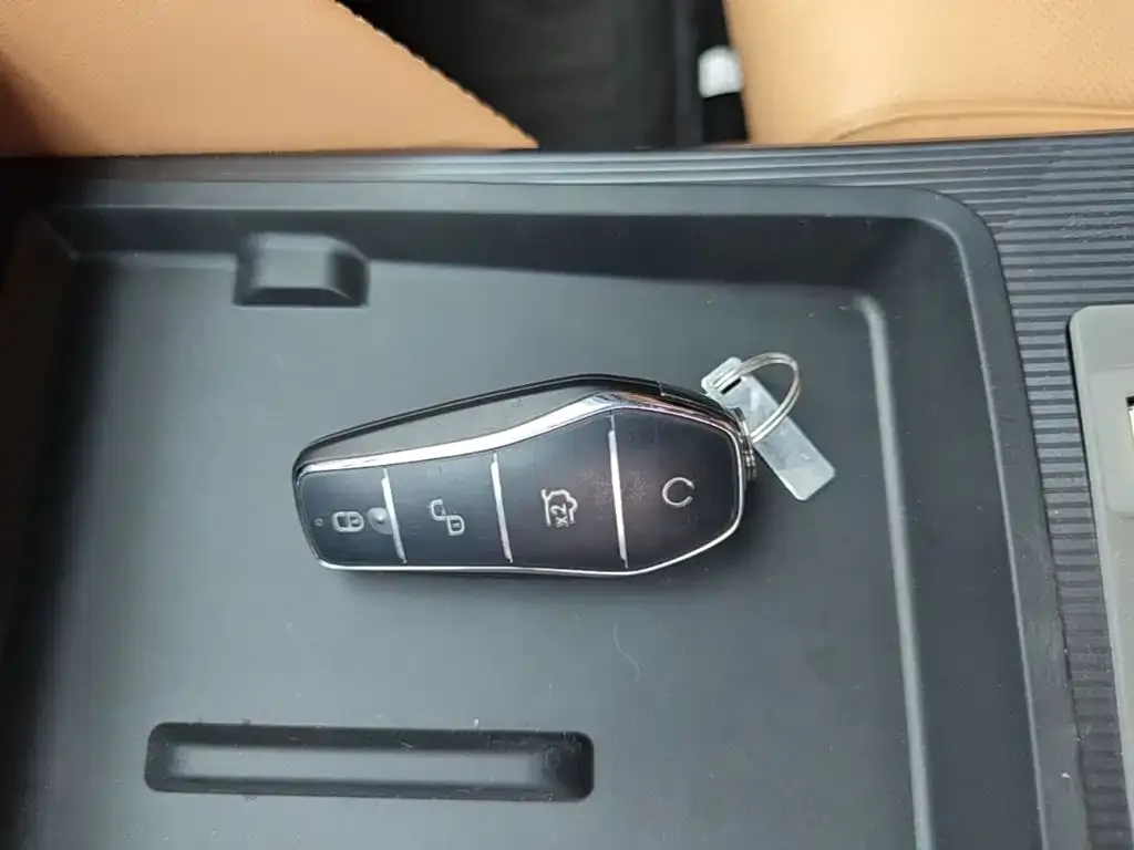 BYD L DM-i — фото 2