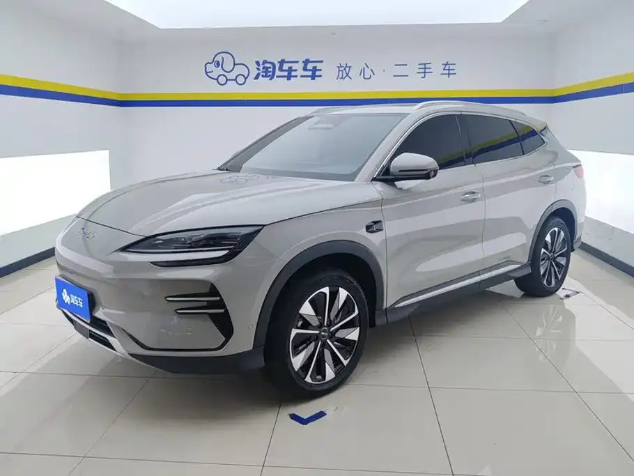 BYD PLUS New Energy — фото 1