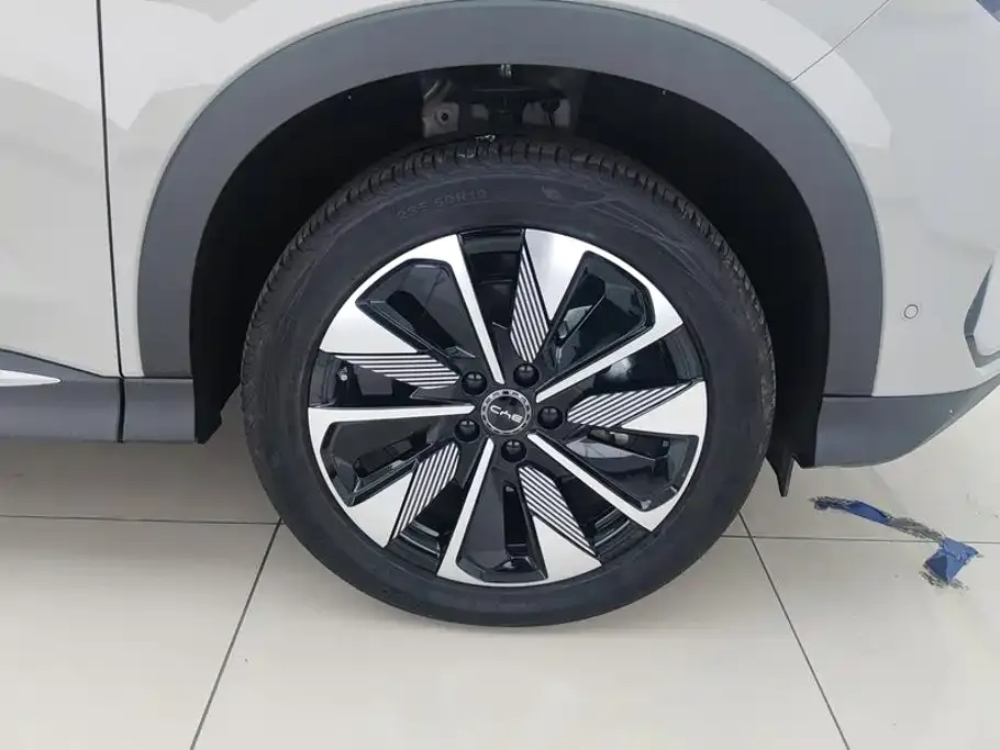 BYD PLUS New Energy — фото 6