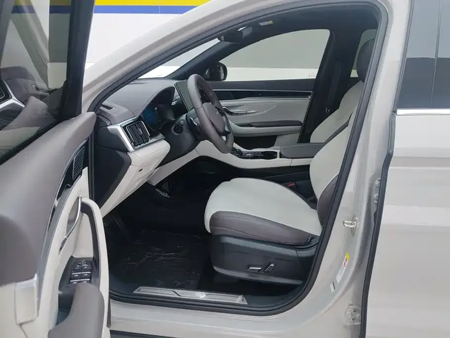 BYD PLUS New Energy — фото 10