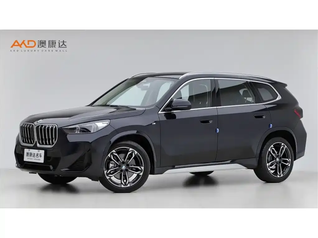 BMW X1 — фото 1