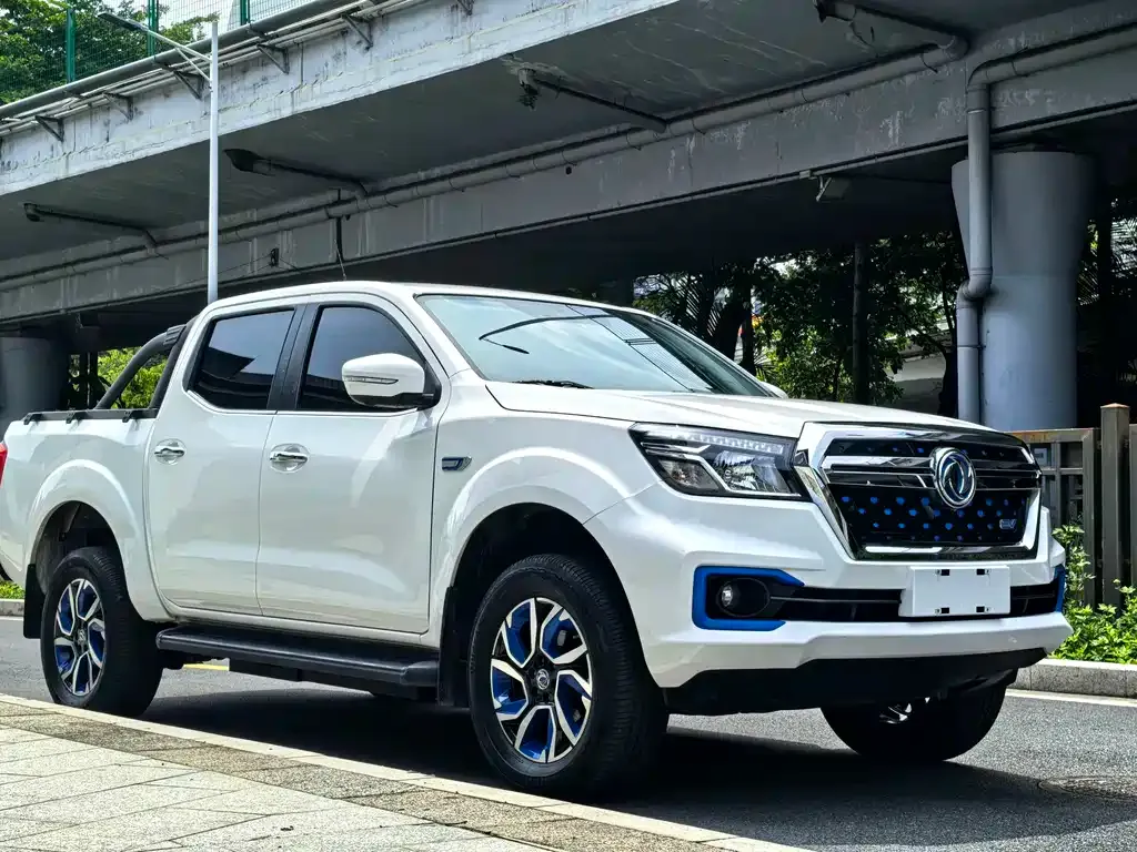 Dongfeng Rich 6 New Energy — фото 8
