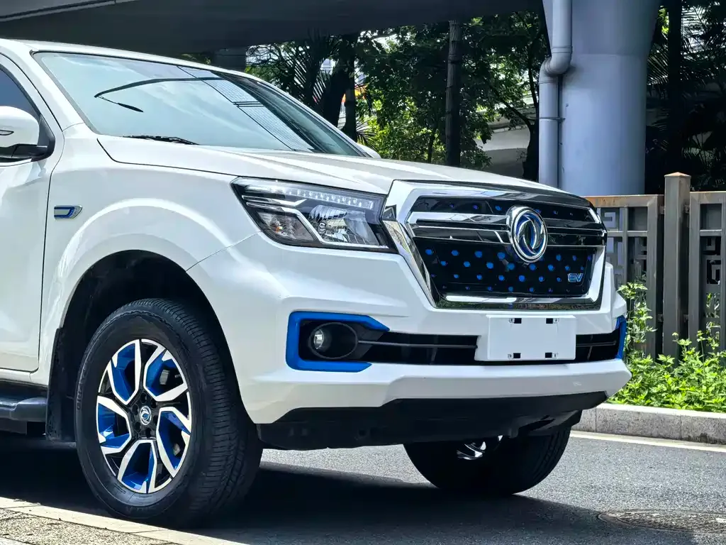 Dongfeng Rich 6 New Energy — фото 10
