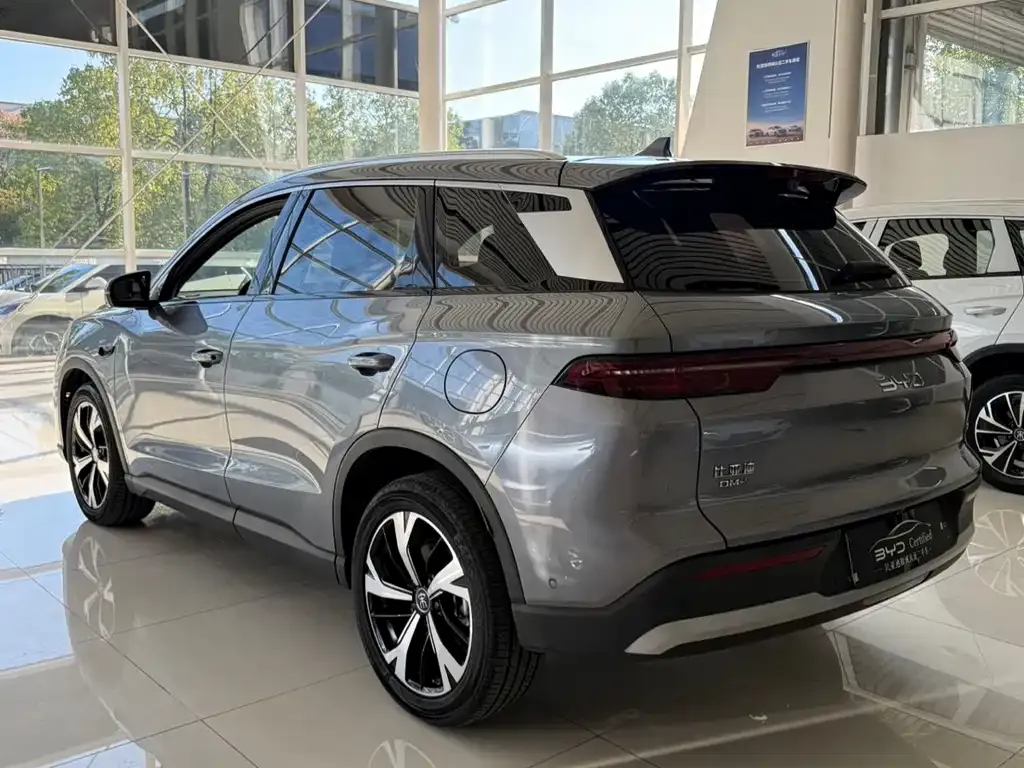 BYD Pro New Energy — фото 9