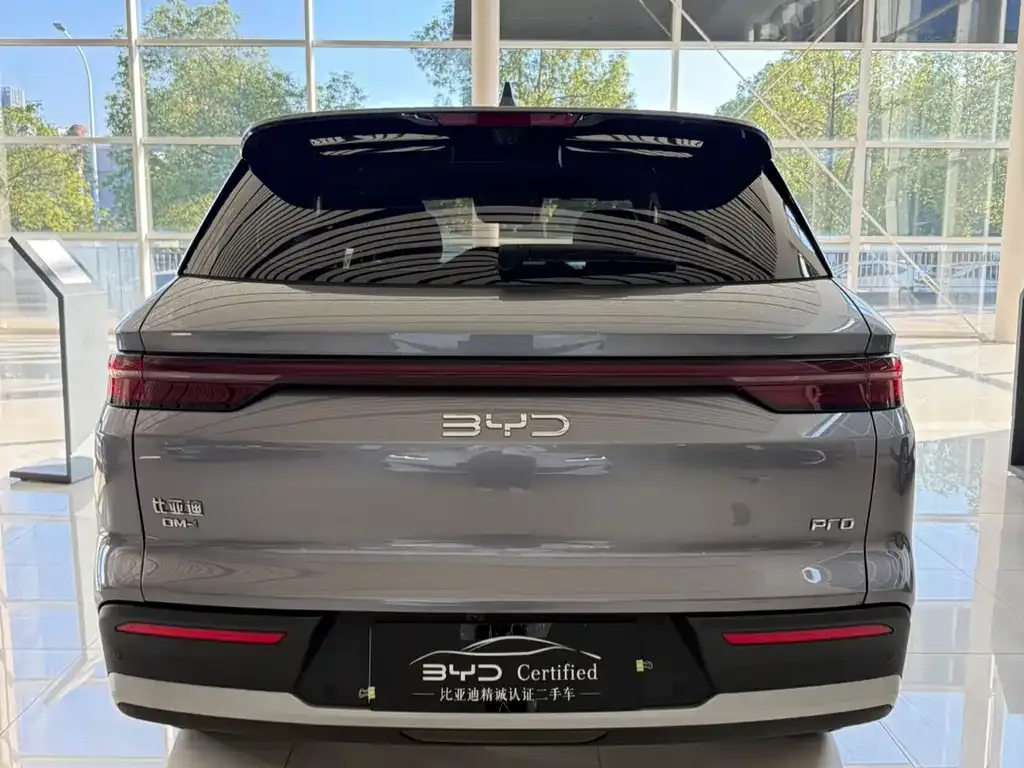 BYD Pro New Energy — фото 4