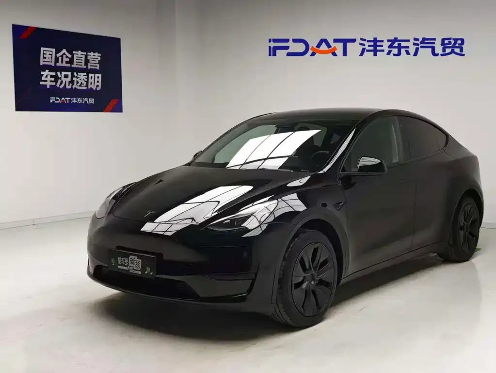 Tesla Model Y — фото 1