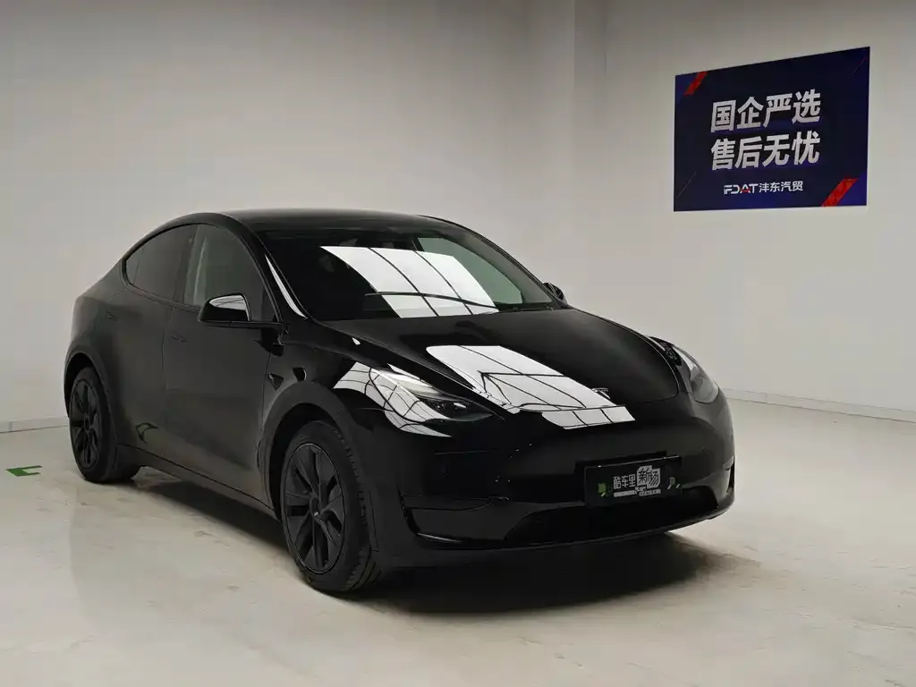 Tesla Model Y — фото 4