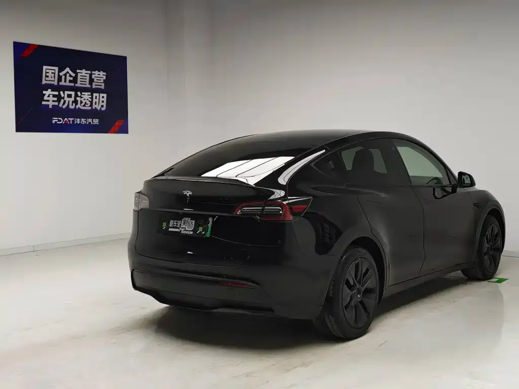 Tesla Model Y — фото 3