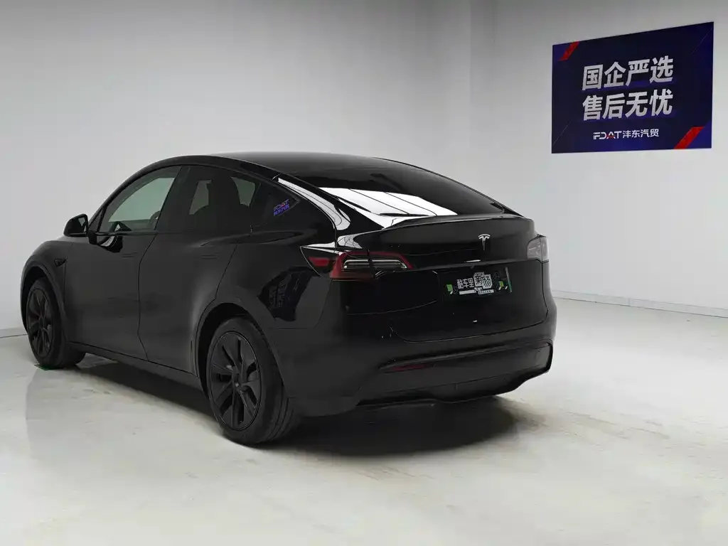 Tesla Model Y — фото 8