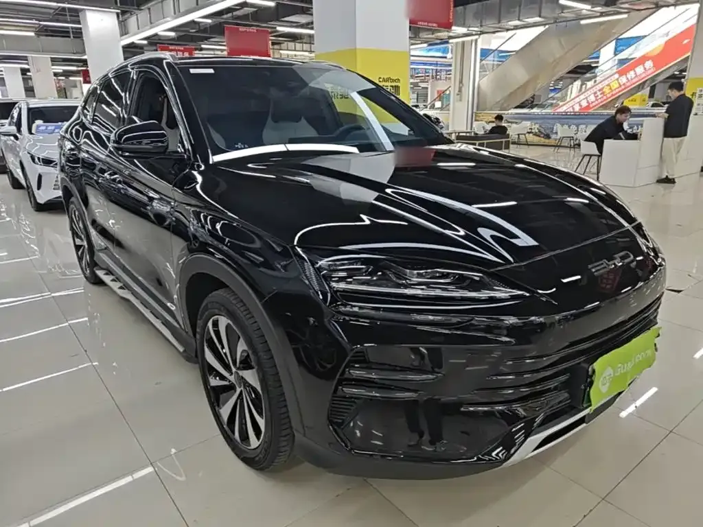 BYD PLUS New Energy — фото 6