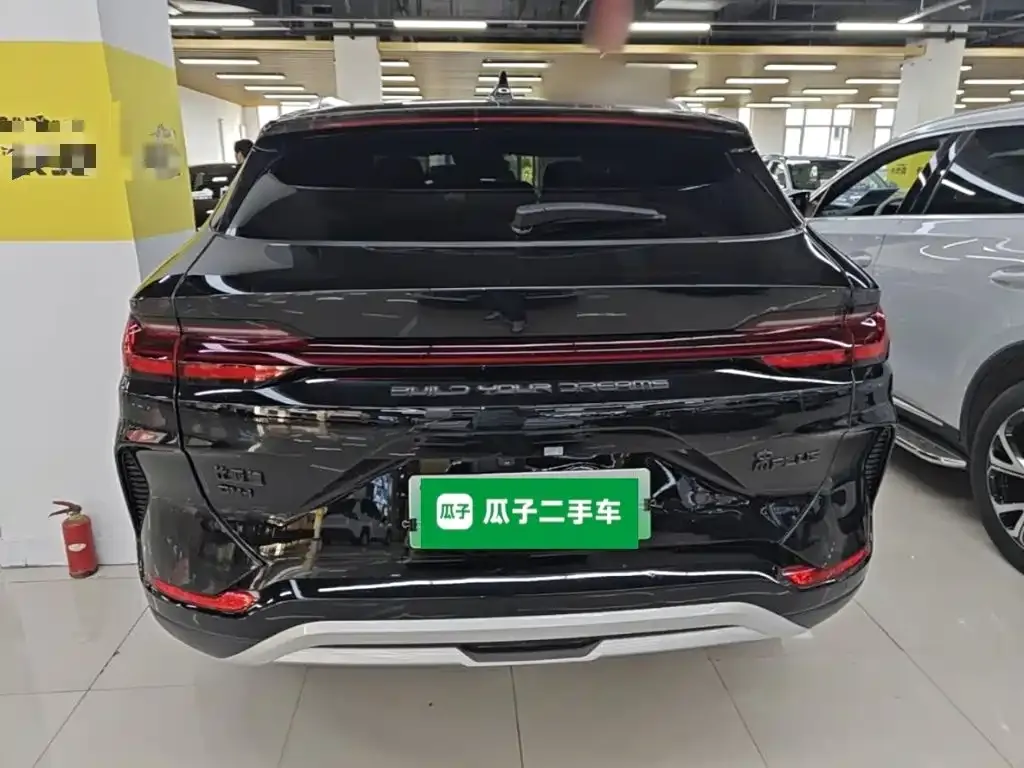 BYD PLUS New Energy — фото 9