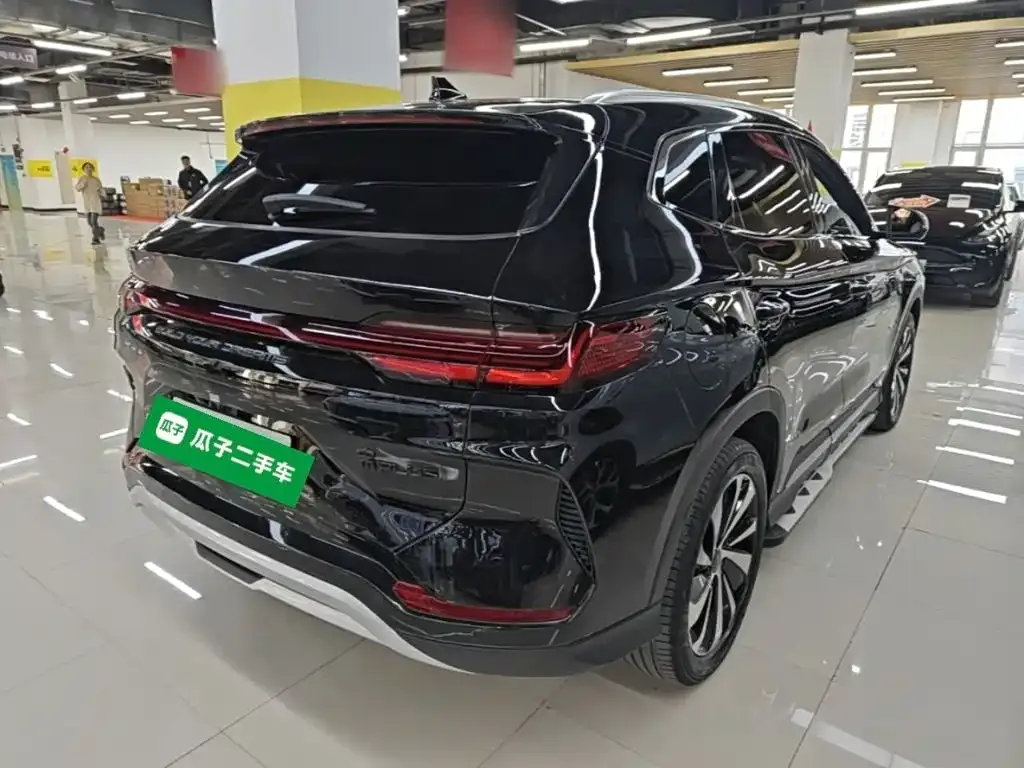BYD PLUS New Energy — фото 3