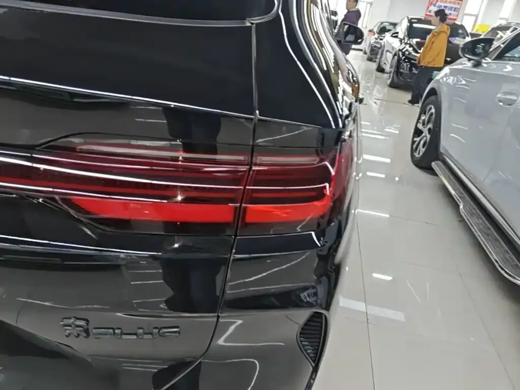 BYD PLUS New Energy — фото 10