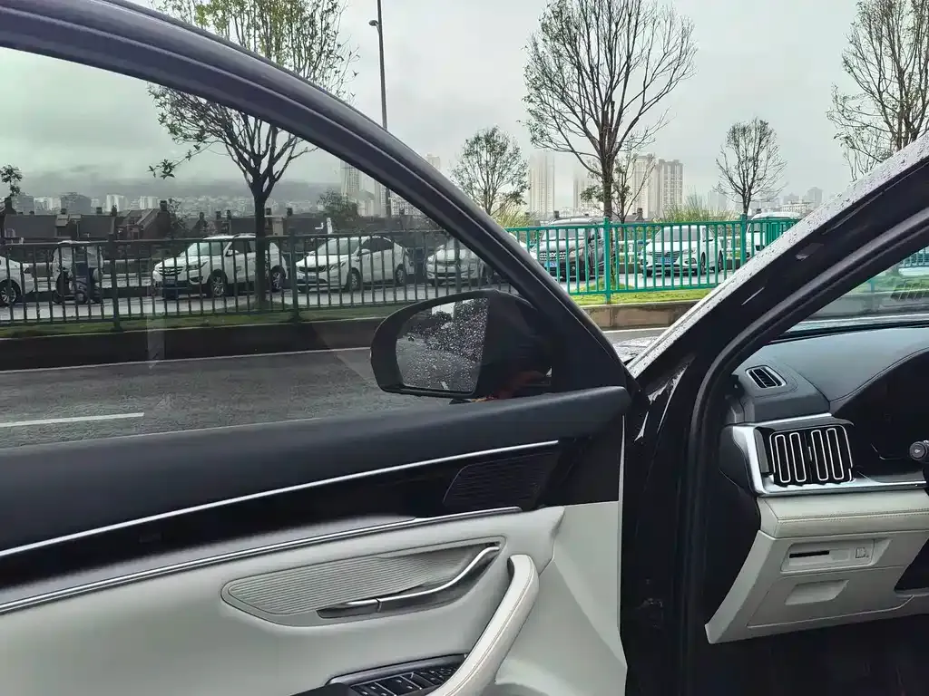 BYD PLUS New Energy — фото 7