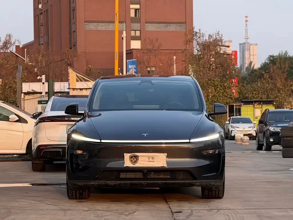 Tesla Model Y — фото 6