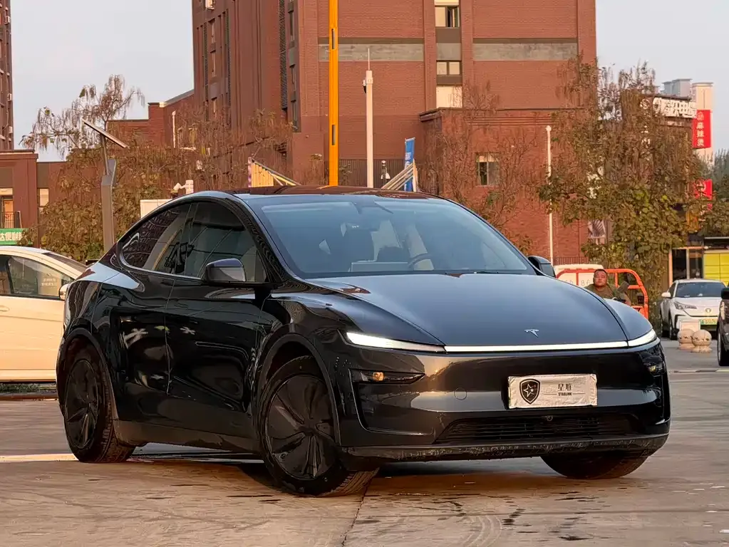 Tesla Model Y — фото 3