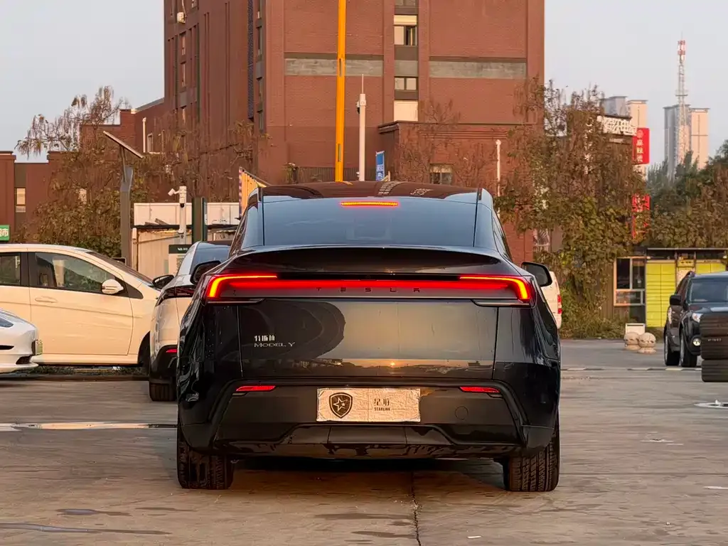 Tesla Model Y — фото 4
