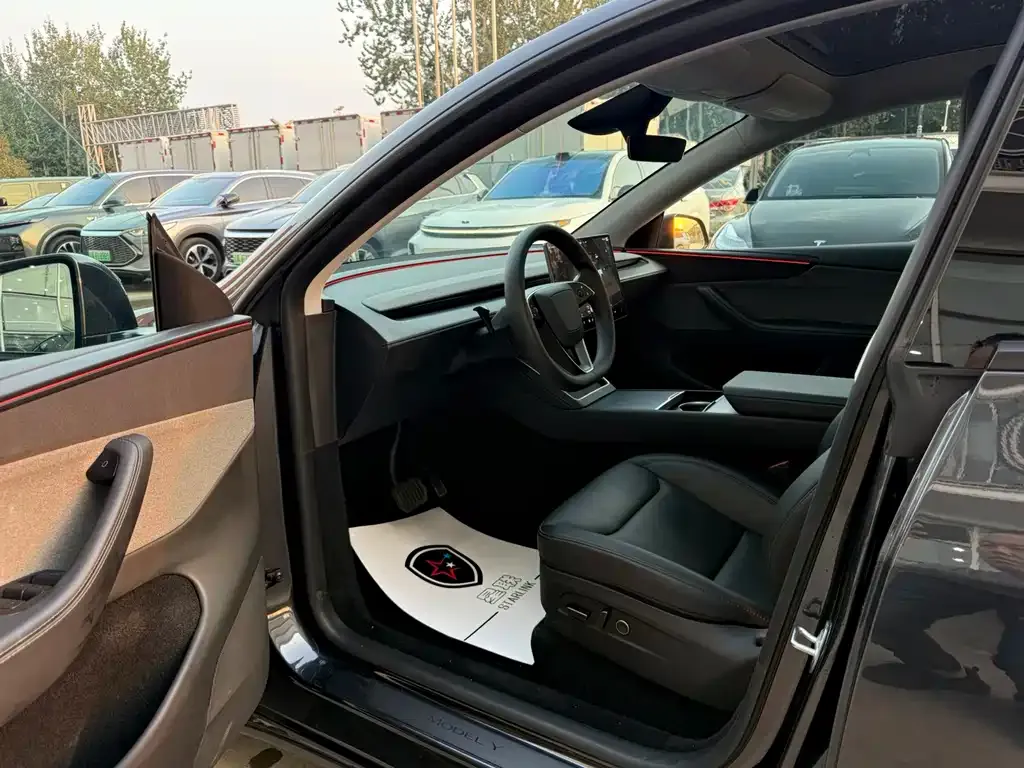 Tesla Model Y — фото 10