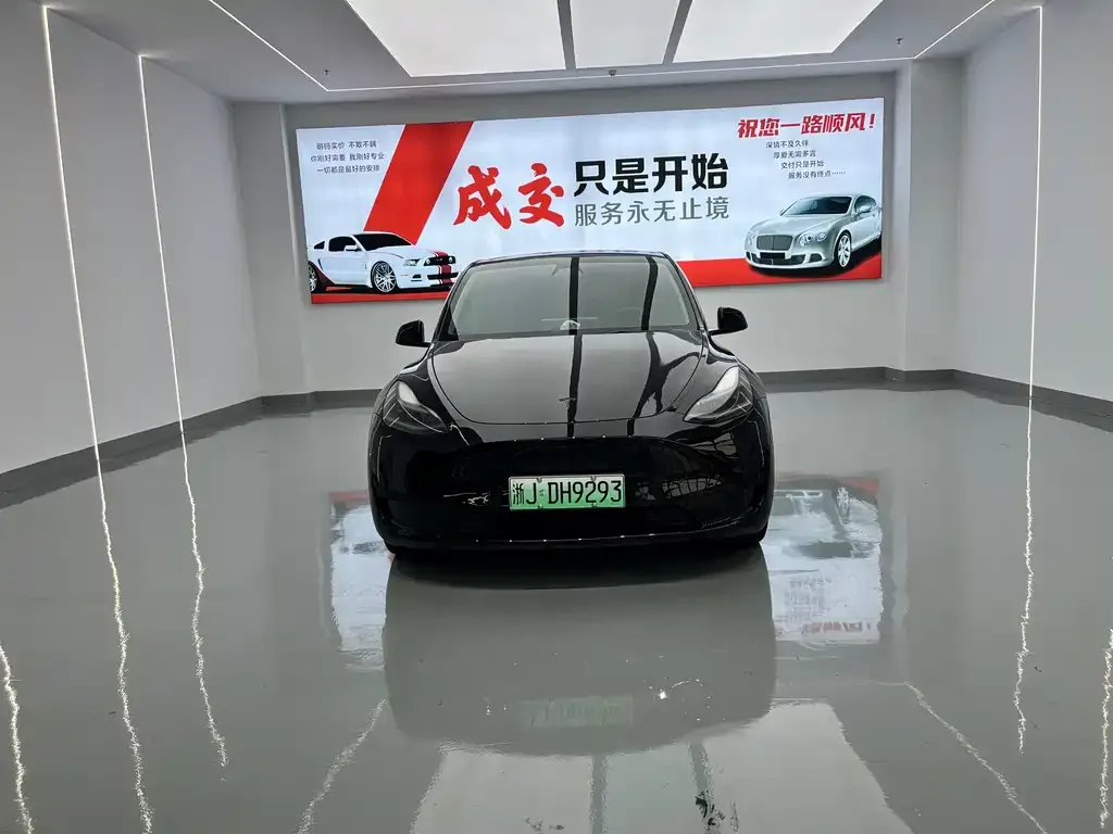 Tesla Model Y — фото 1