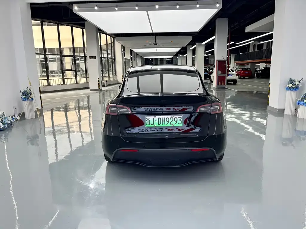 Tesla Model Y — фото 10
