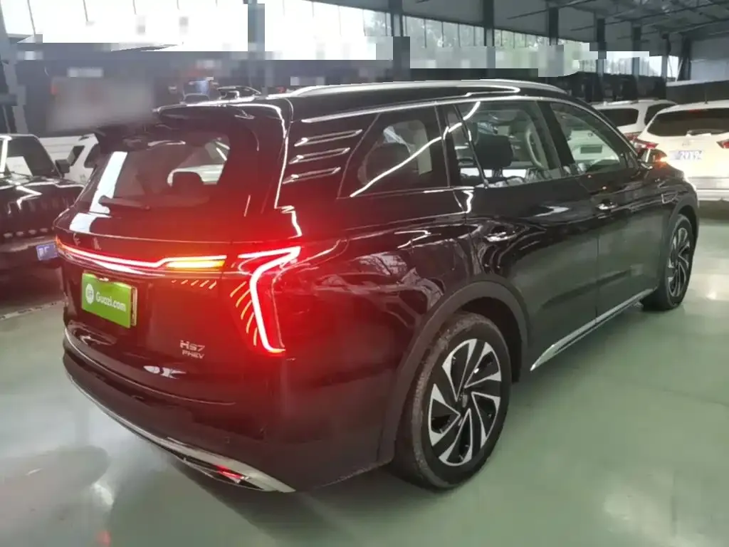 Hongqi HS7 PHEV — фото 7