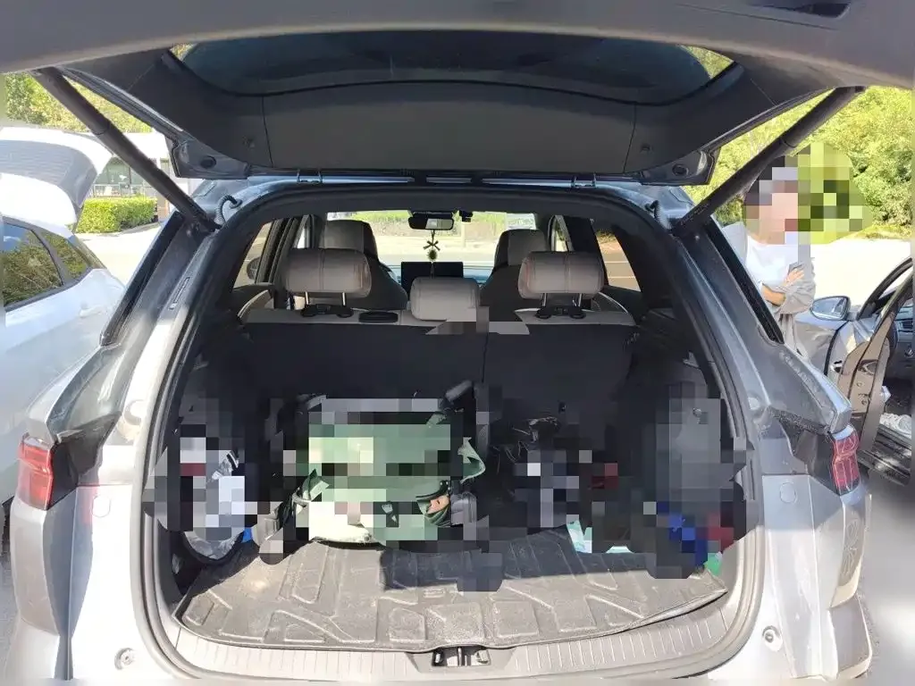 BYD Pro New Energy — фото 9