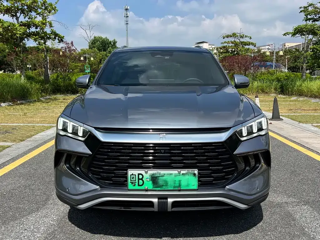 BYD Pro New Energy — фото 1
