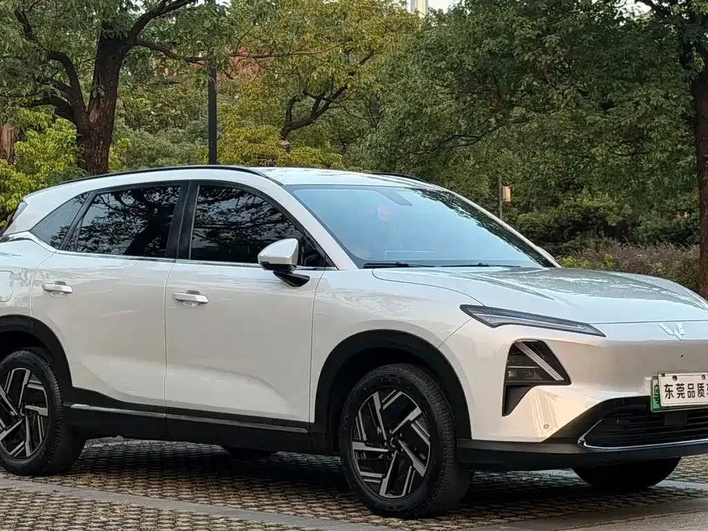 Wuling Xingguang S — фото 9