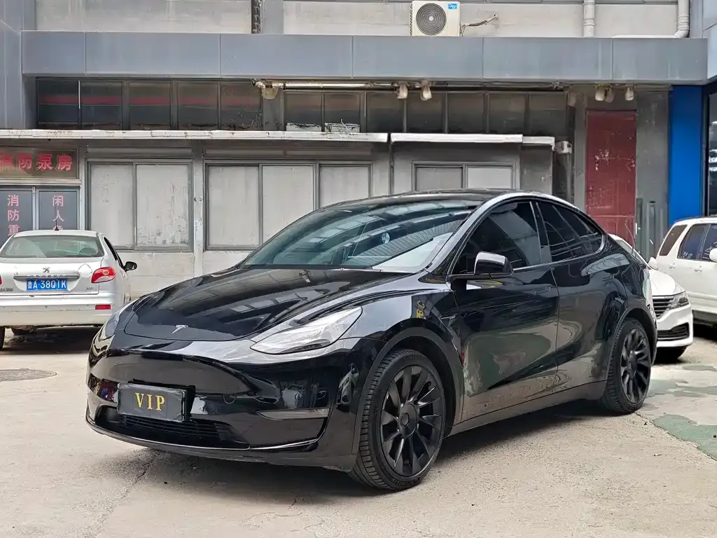 Tesla Model Y — фото 1