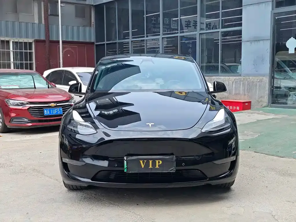 Tesla Model Y — фото 8