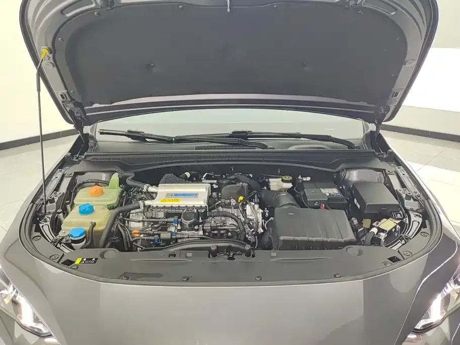 GAC Motor Shadow Leopard — фото 7