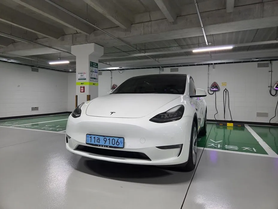 Tesla Model Y — фото 3