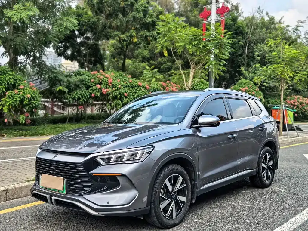 BYD Pro New Energy — фото 1
