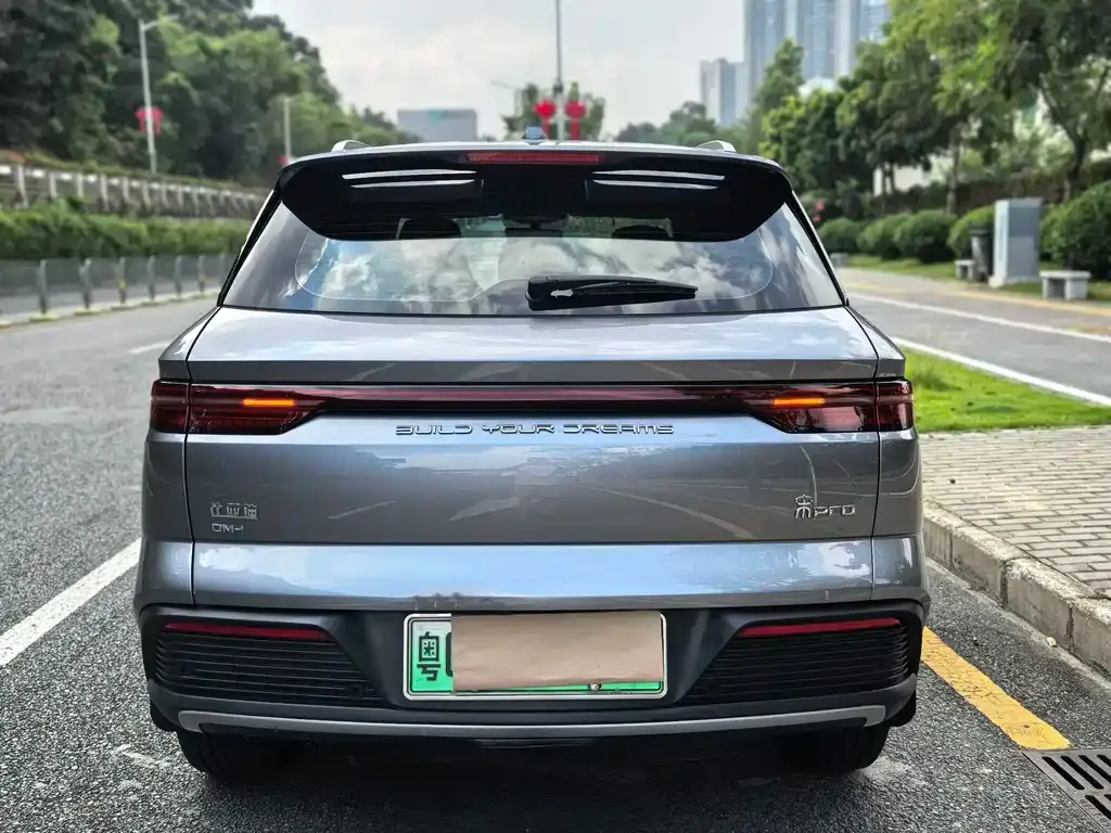 BYD Pro New Energy — фото 4