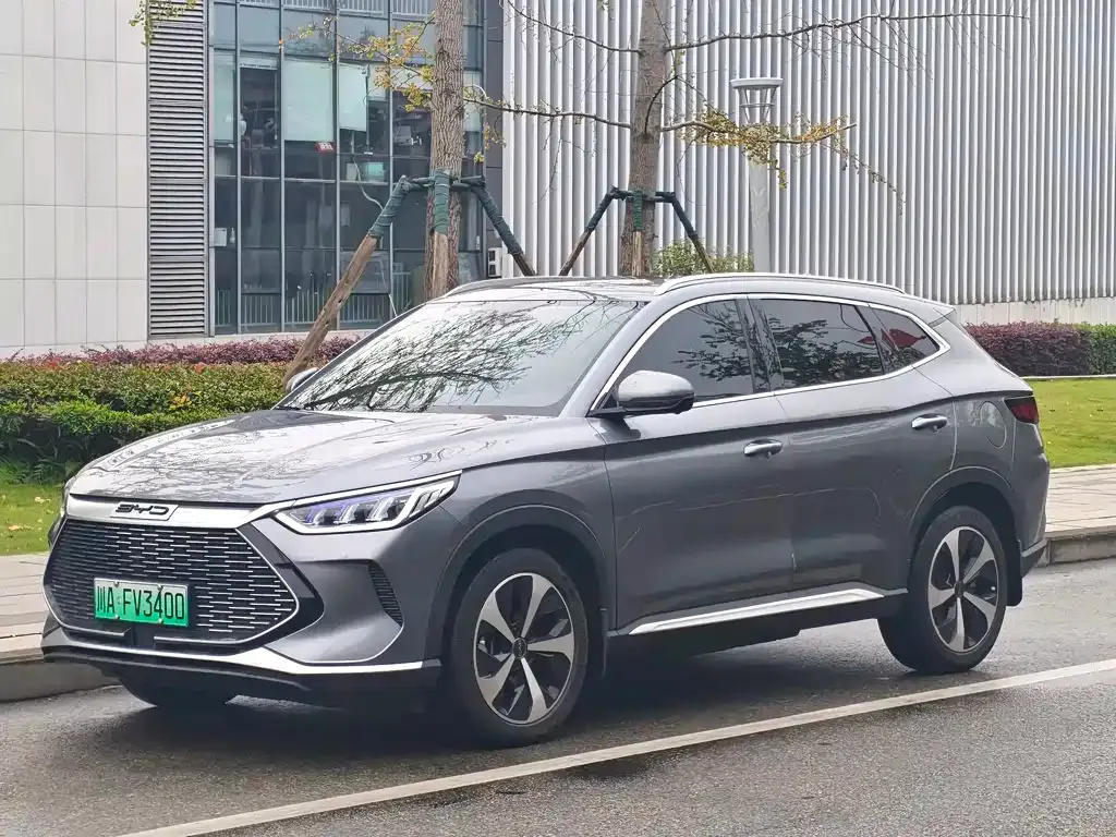 BYD PLUS New Energy — фото 1
