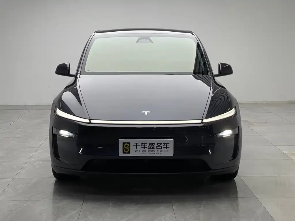 Tesla Model Y — фото 2