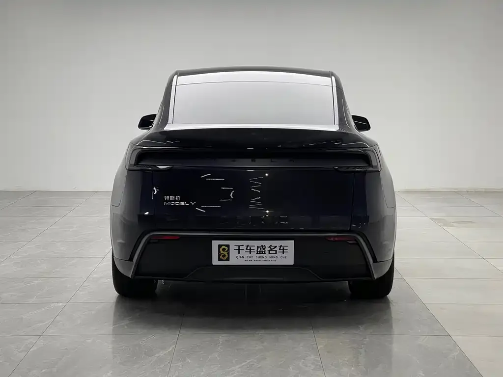 Tesla Model Y — фото 4