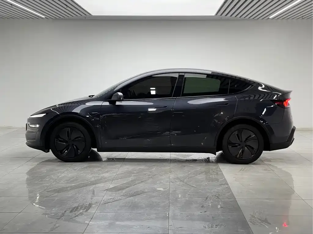 Tesla Model Y — фото 10