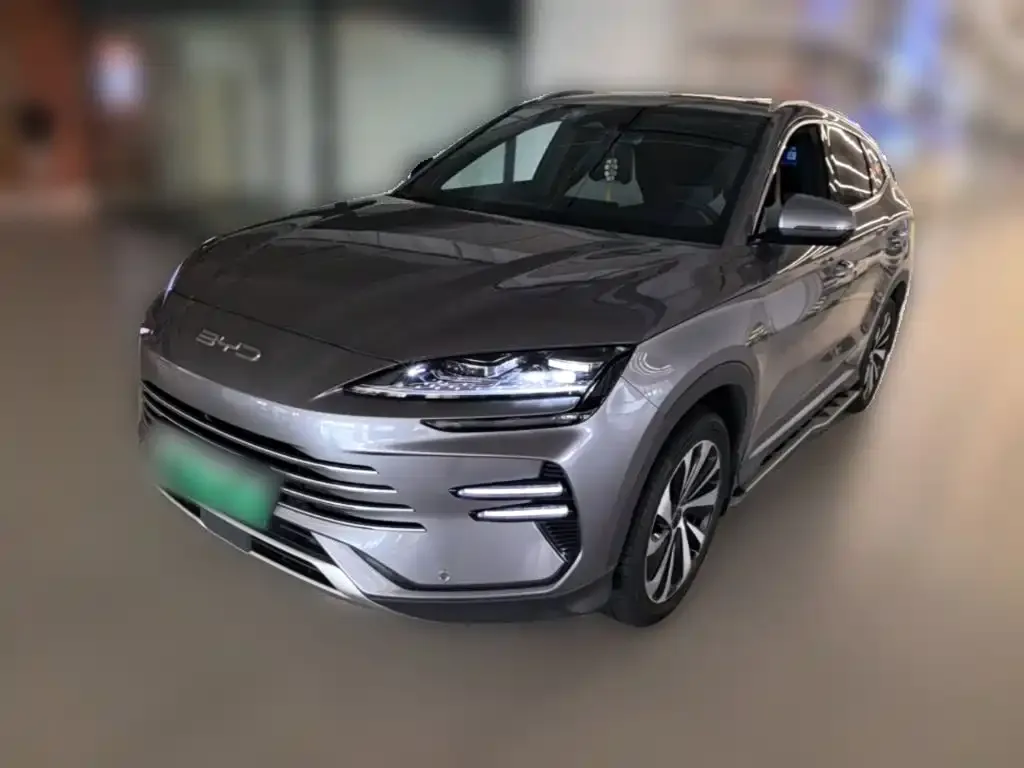 BYD PLUS New Energy — фото 8
