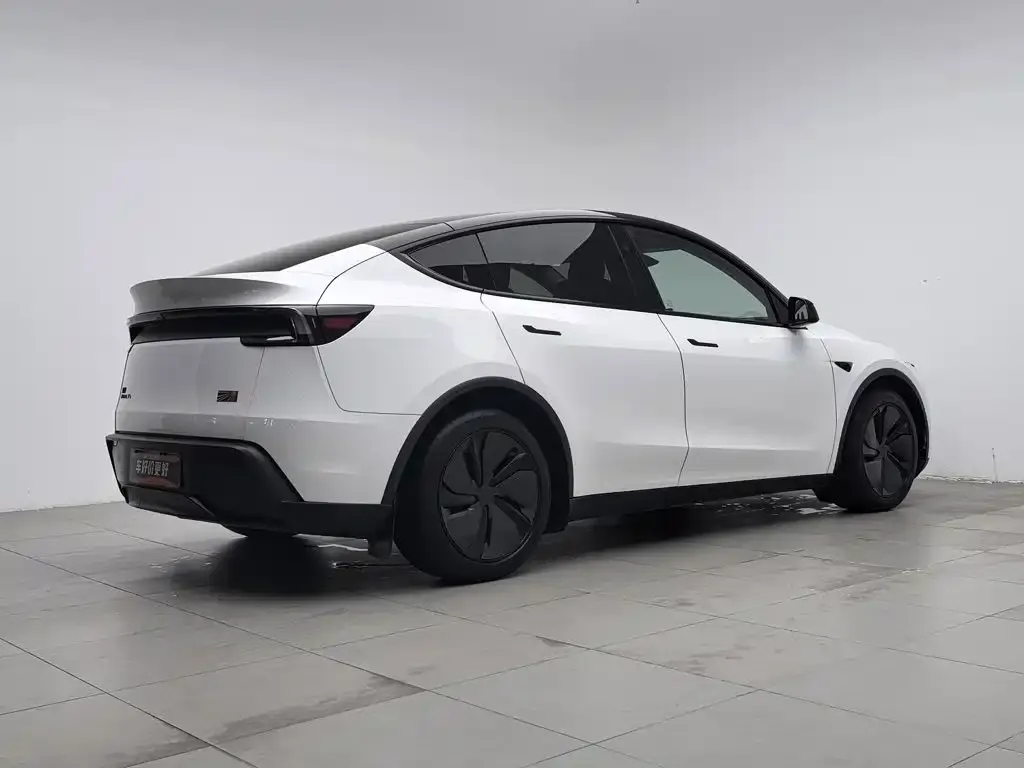 Tesla Model Y — фото 5