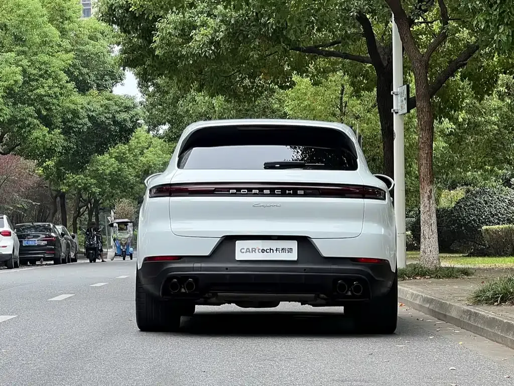 Porsche Cayenne — фото 10