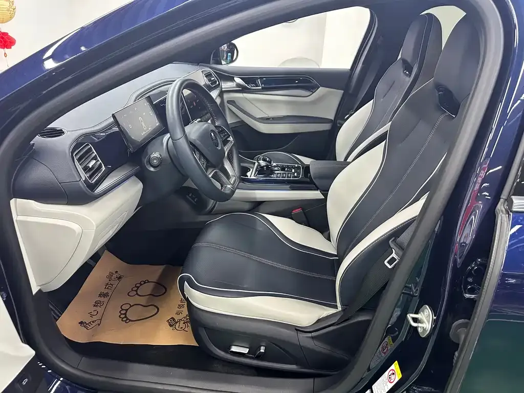 BYD Qin PLUS — фото 4